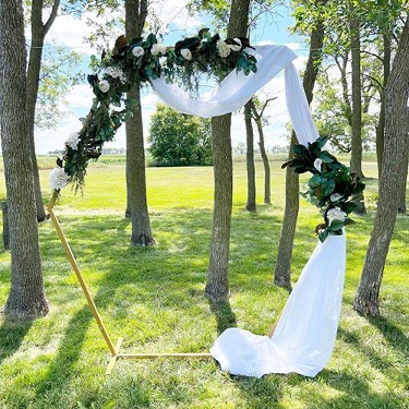 Hitch Rentals - Backdrops - Gold Hexagon Arch-3