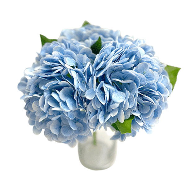 weddingdecor blue hydrangeas stock web